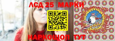 молекула духа Будённовск