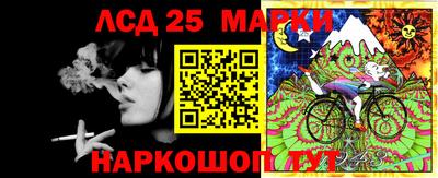 молекула духа Будённовск