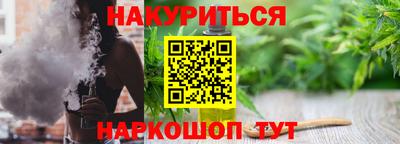 молекула духа Будённовск
