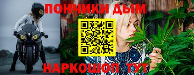 молекула духа Будённовск