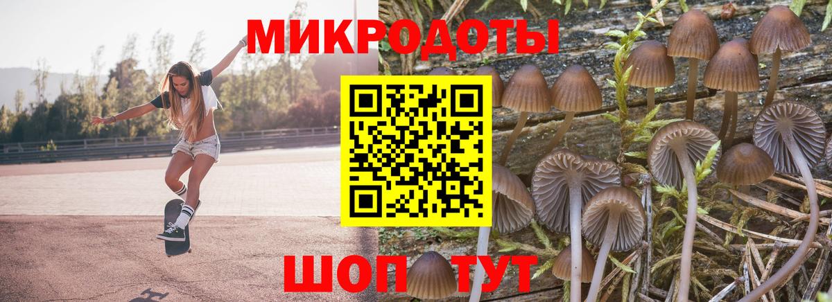 Псилоцибиновые грибы Magic Shrooms  Вход с VPN  Псилоцибиновые грибы прущие грибы  Новороссийск 